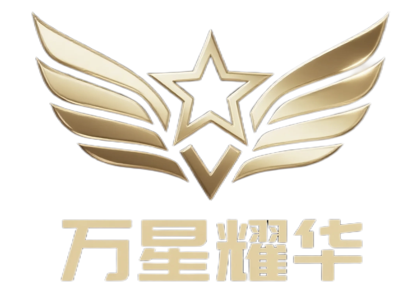 万星耀华